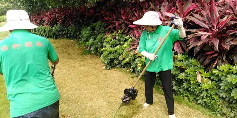 綠化養(yǎng)護除草