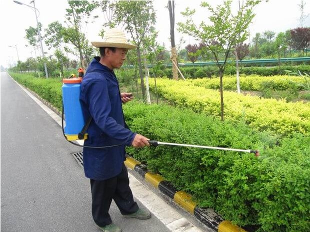 道路綠化養(yǎng)護
