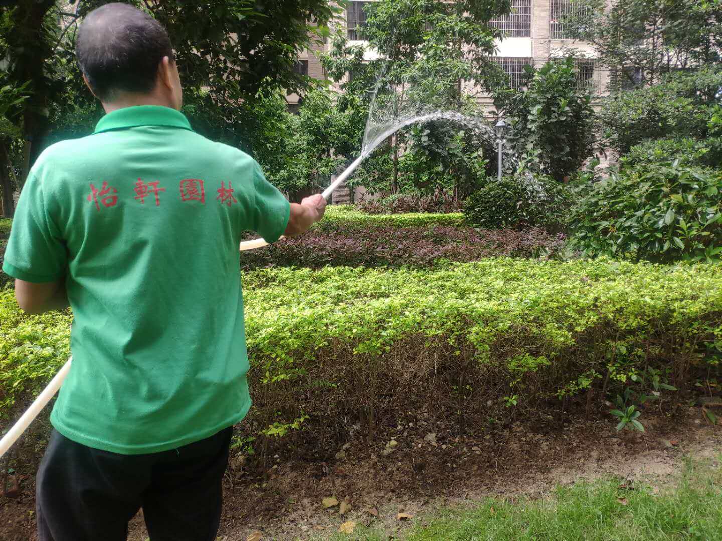綠化養(yǎng)護澆灌