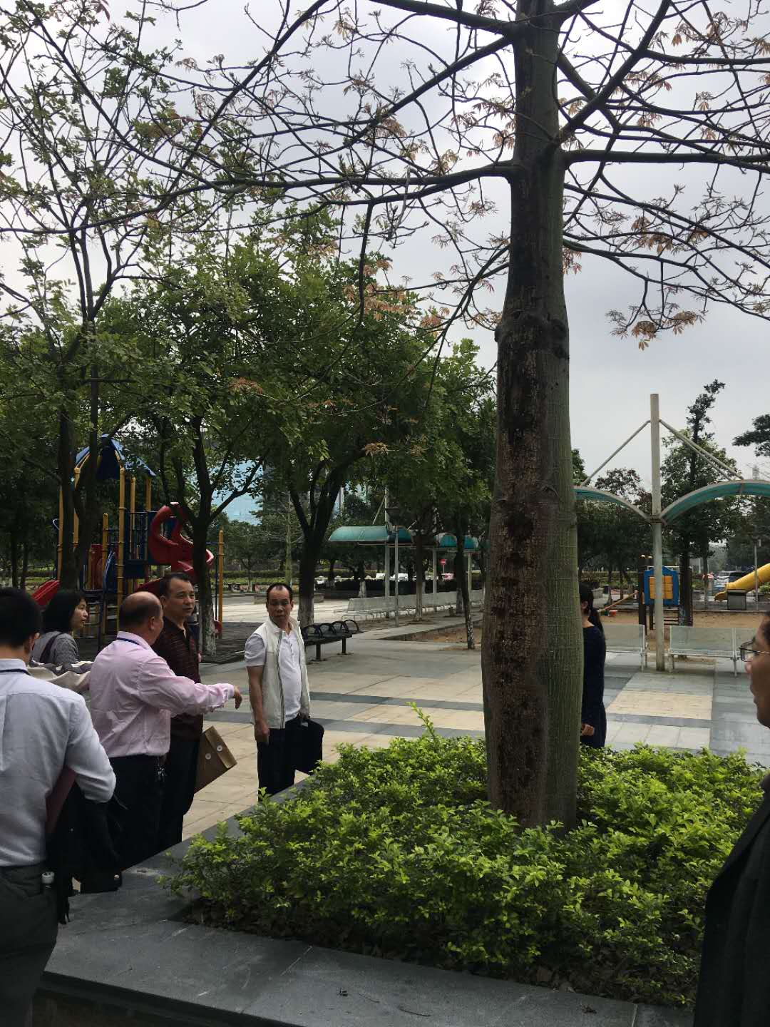 別墅綠化養(yǎng)護