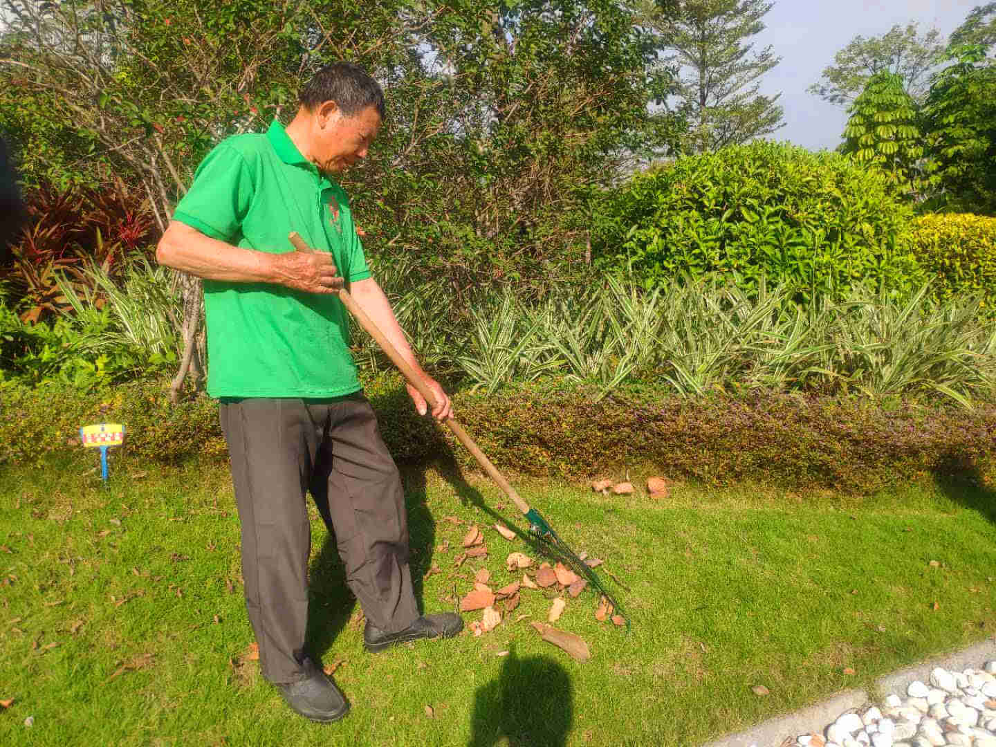 佛山綠化養(yǎng)護的具體內容