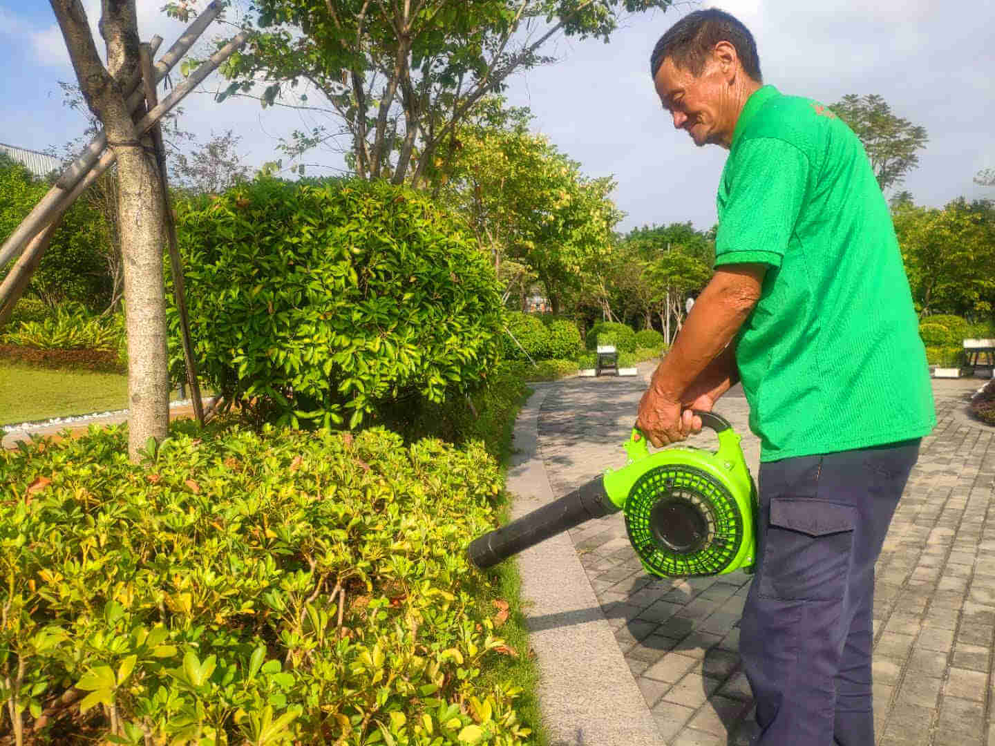 小區(qū)綠化養(yǎng)護
