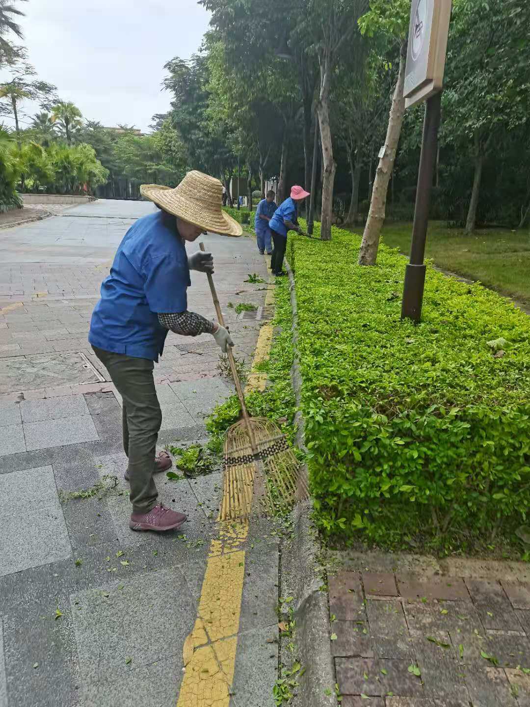 小區(qū)綠化養(yǎng)護清理落葉