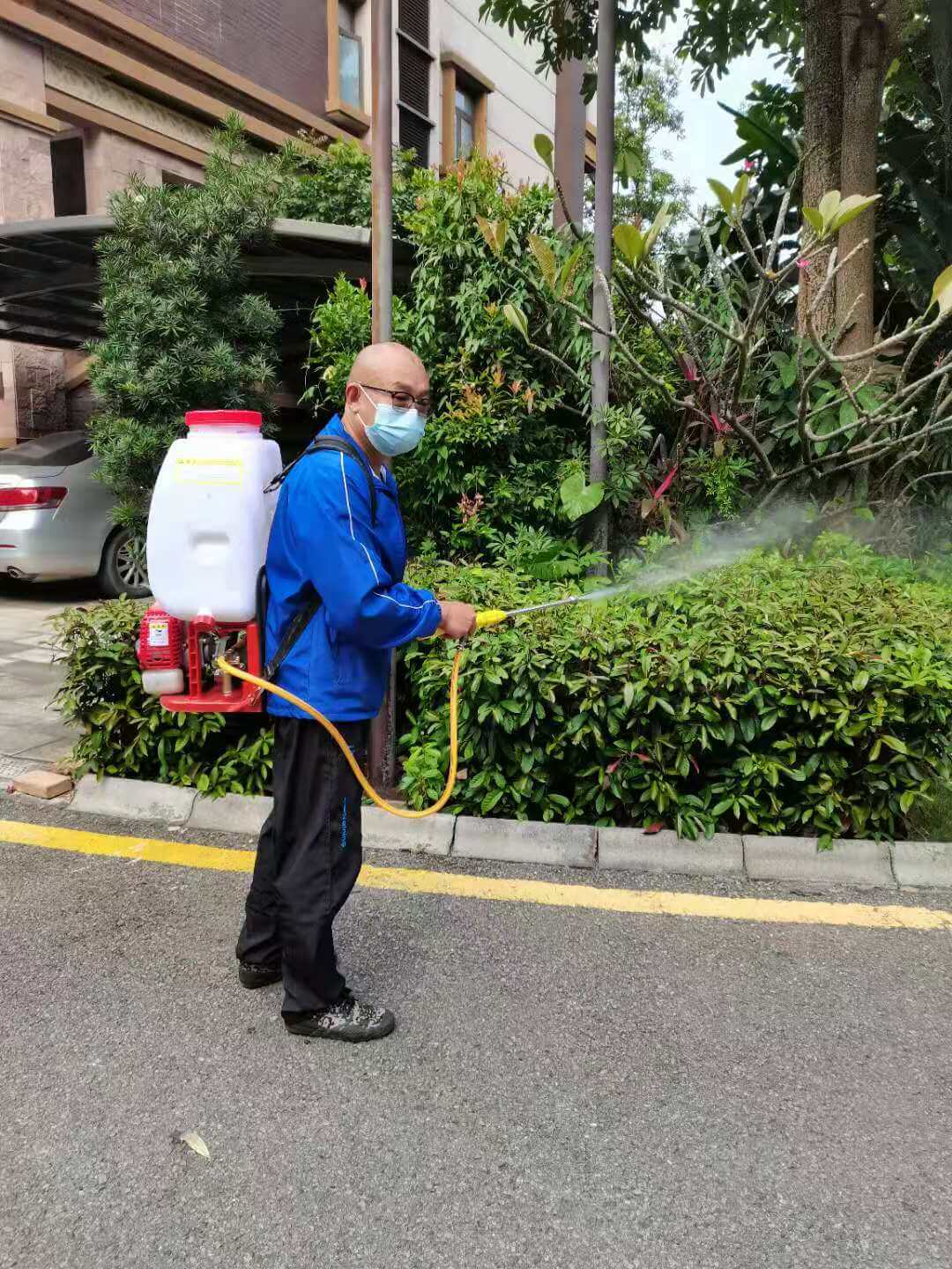 小區(qū)綠化養(yǎng)護