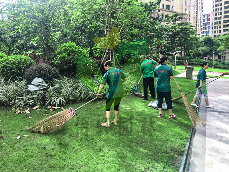 小區(qū)綠化養(yǎng)護