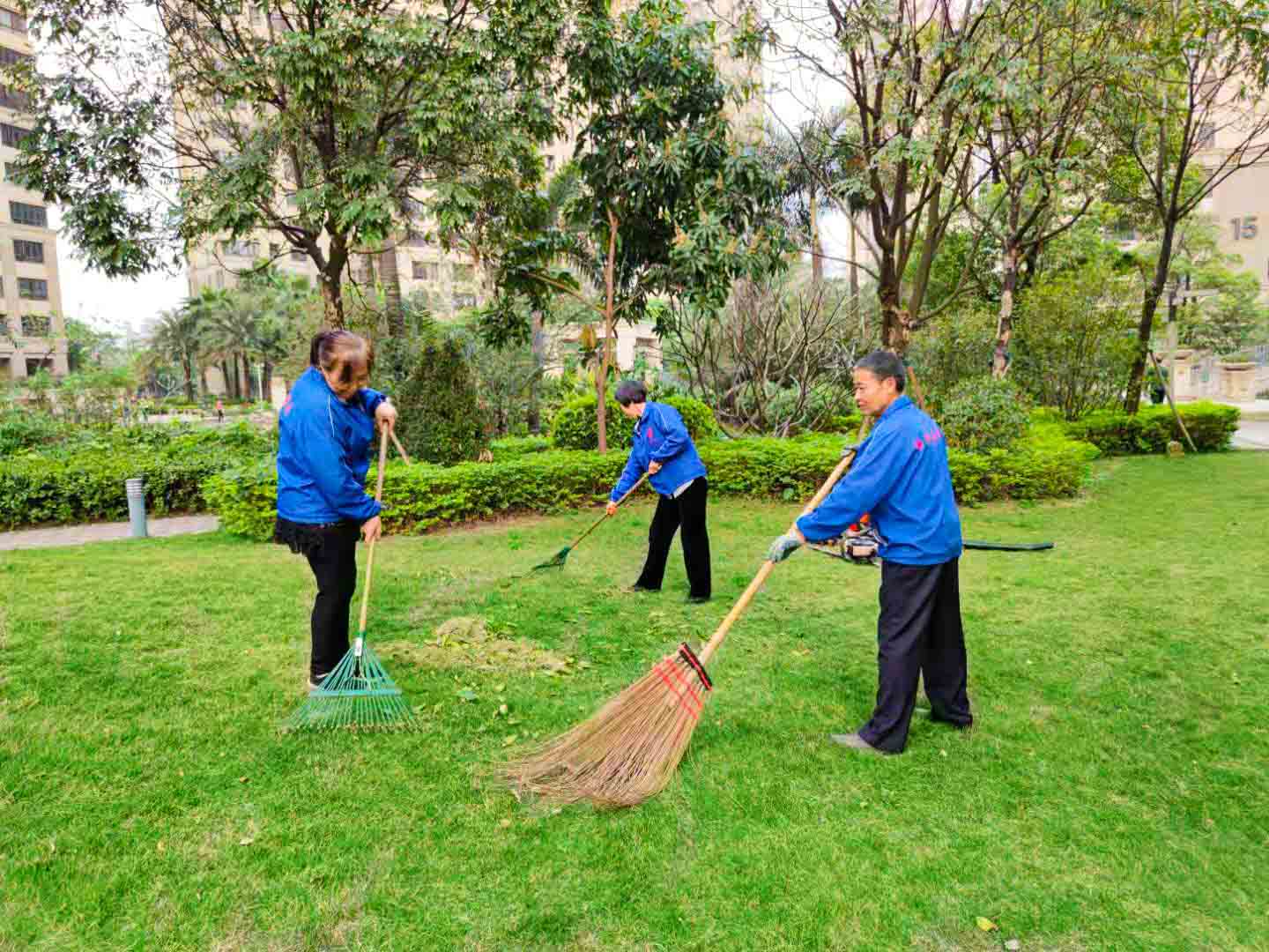 佛山園林綠化養(yǎng)護(hù)、佛山園林綠化養(yǎng)護(hù)公司、園林綠化養(yǎng)護(hù)