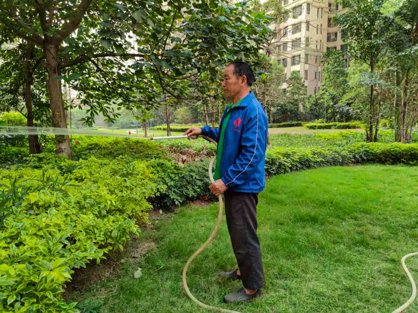 廣州園林綠化養(yǎng)護(hù)，廣州園林綠化養(yǎng)護(hù)公司，園林綠化養(yǎng)護(hù)