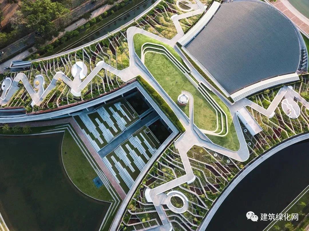 房頂農(nóng)場，深圳園林綠化公司