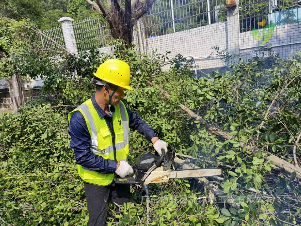 綠化工程，園林綠化公司