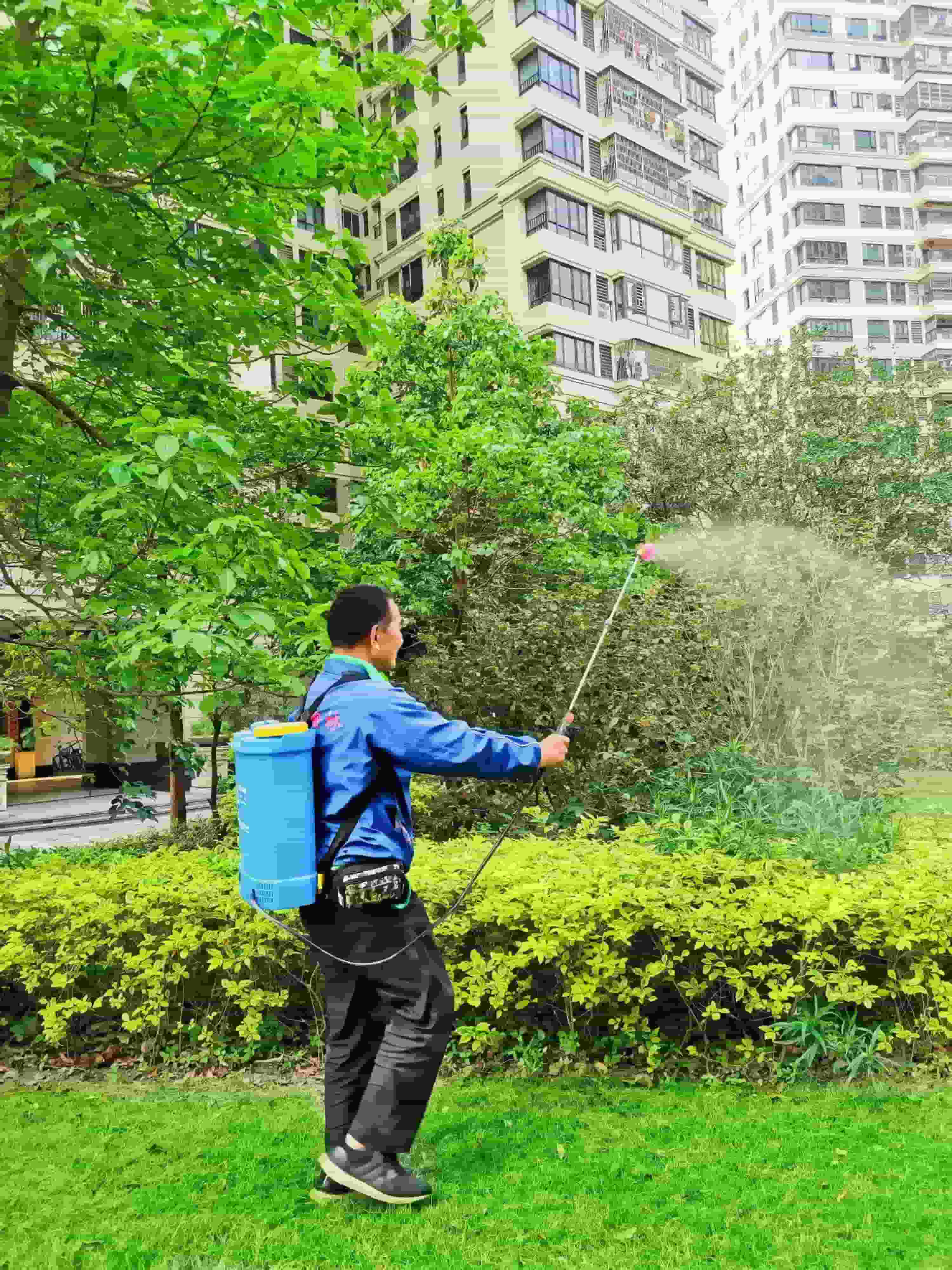 園林綠化 園林綠化