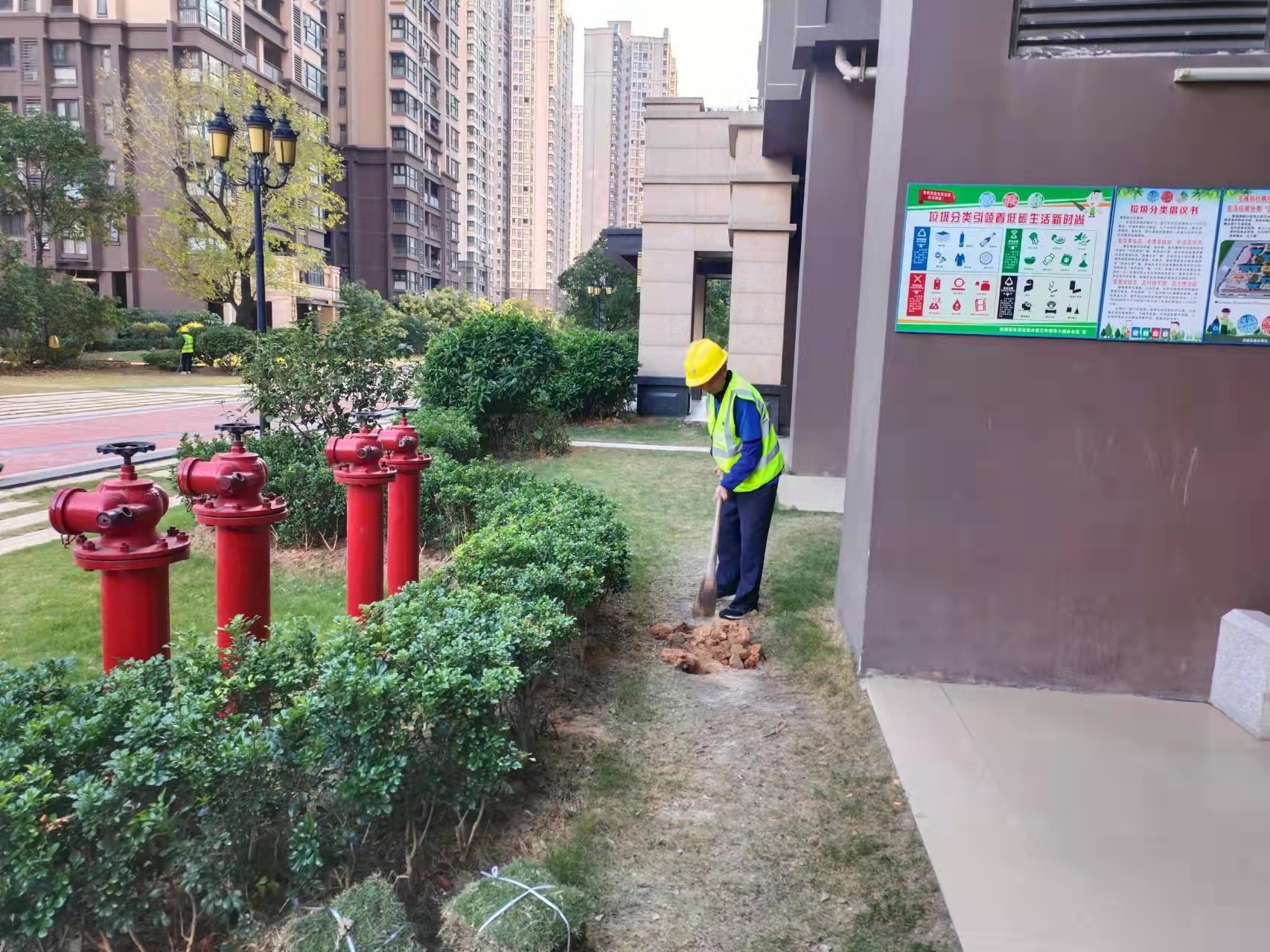 鴨腳木，佛山綠化公司