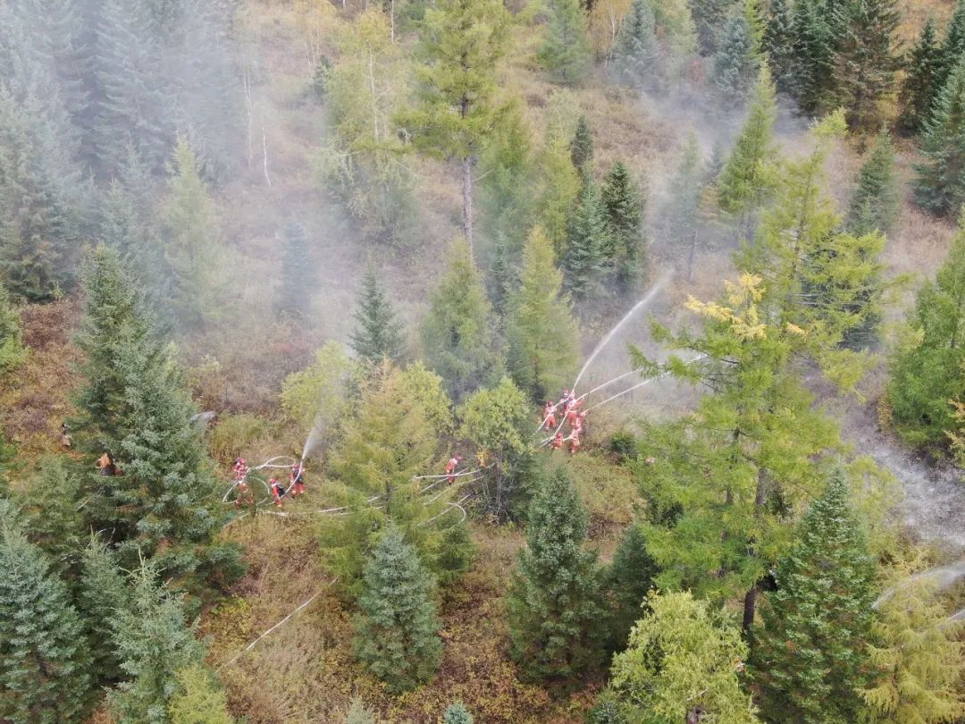 森林草原防火,園林綠化公司 森林草原防火,園林綠化公司