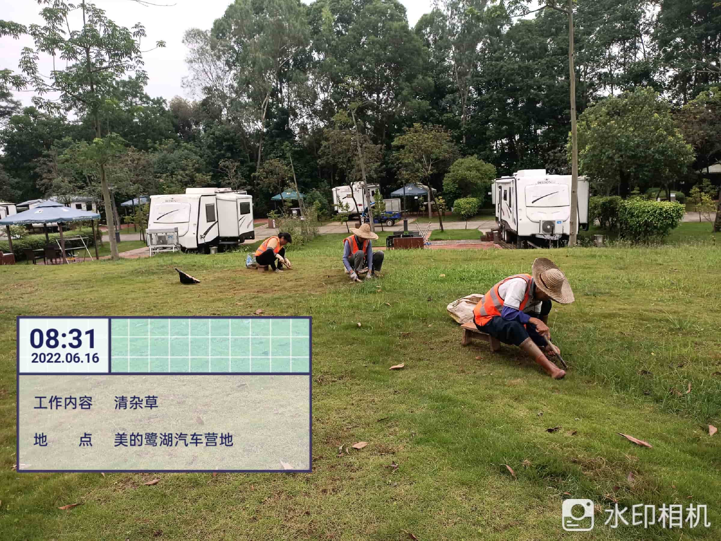 園林綠化,綠化養(yǎng)護,園林綠化公司
