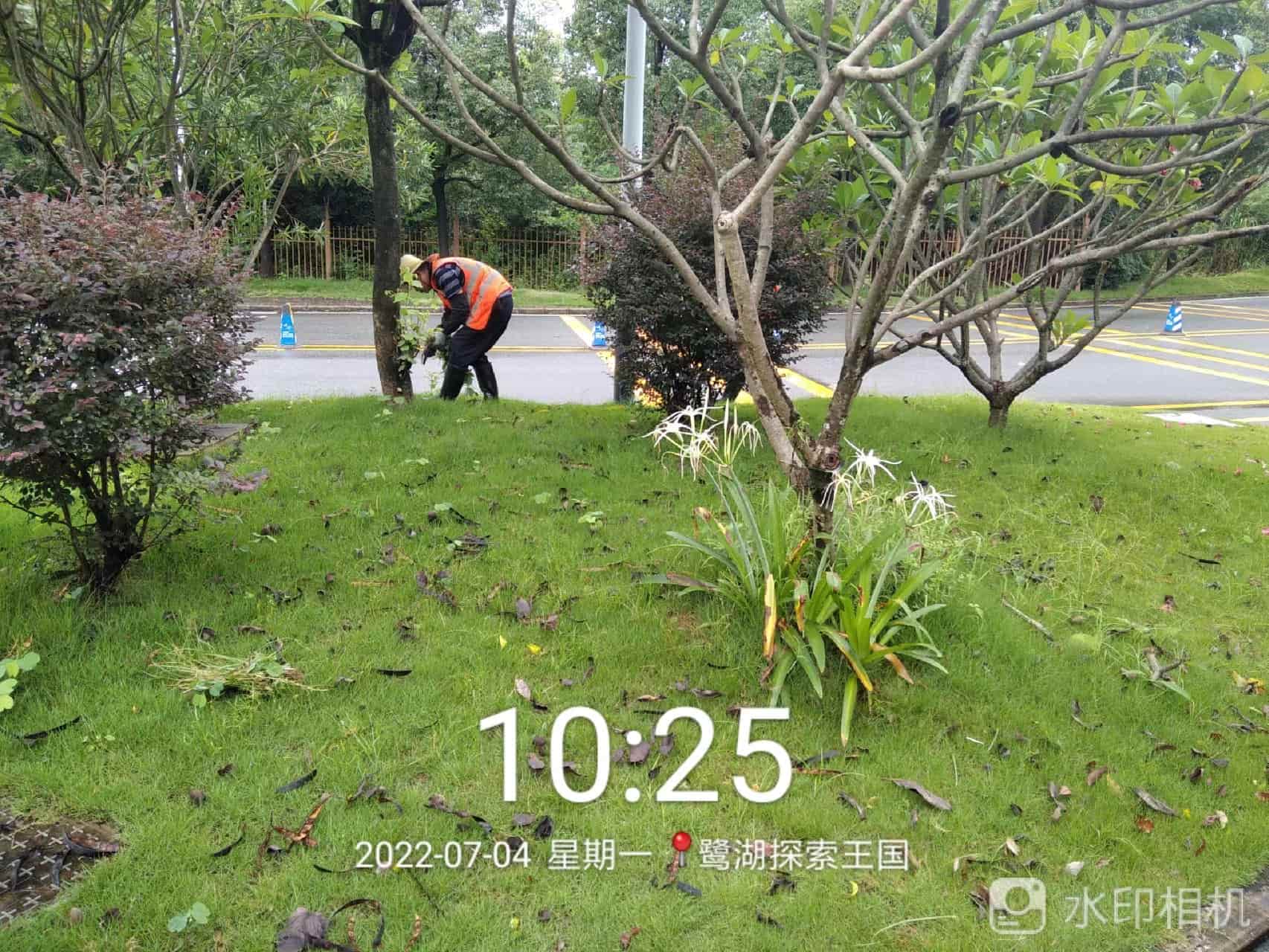 綠化養(yǎng)護,園林綠化養(yǎng)護公司