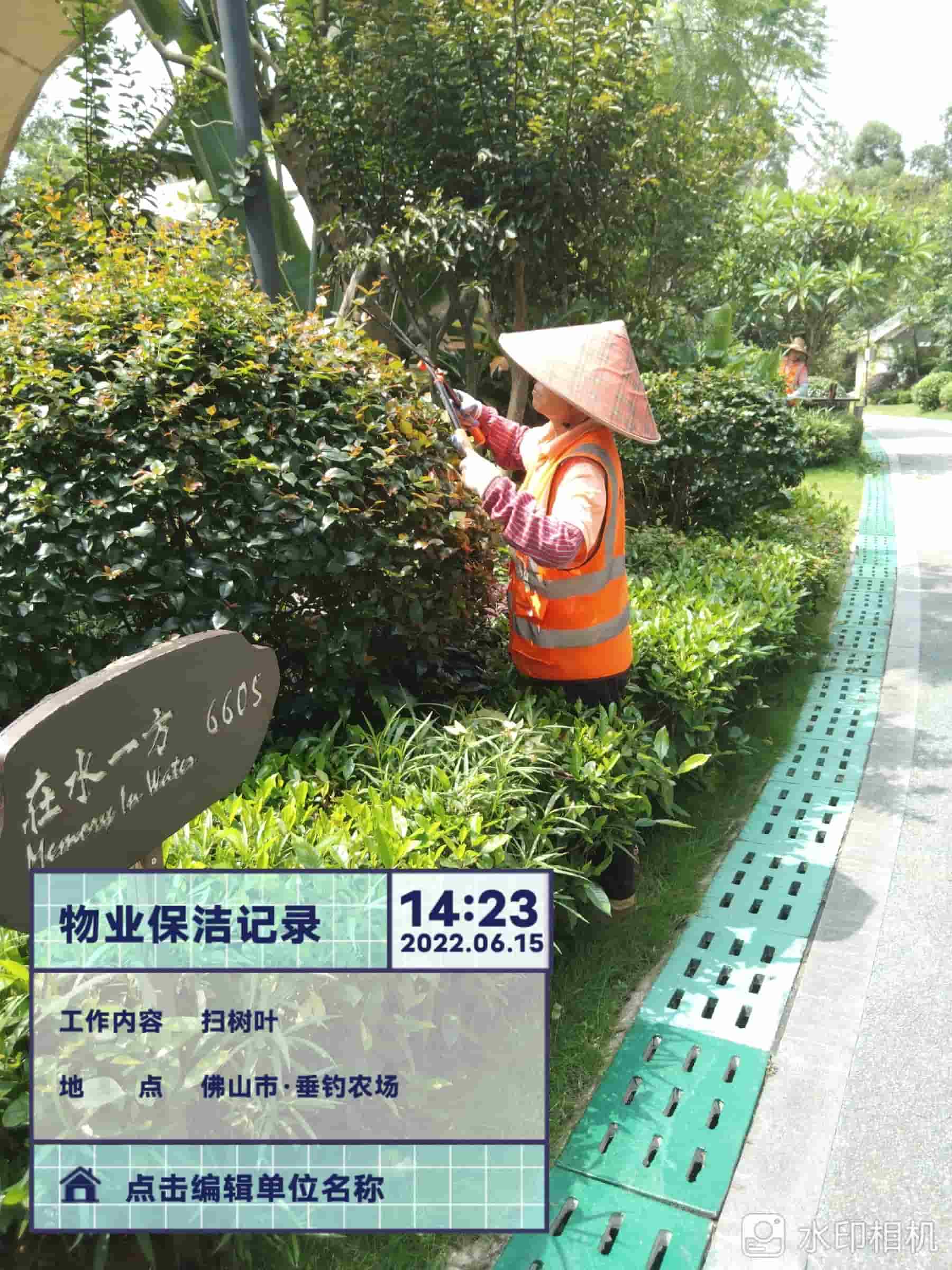 綠化養(yǎng)護,園林綠化養(yǎng)護公司