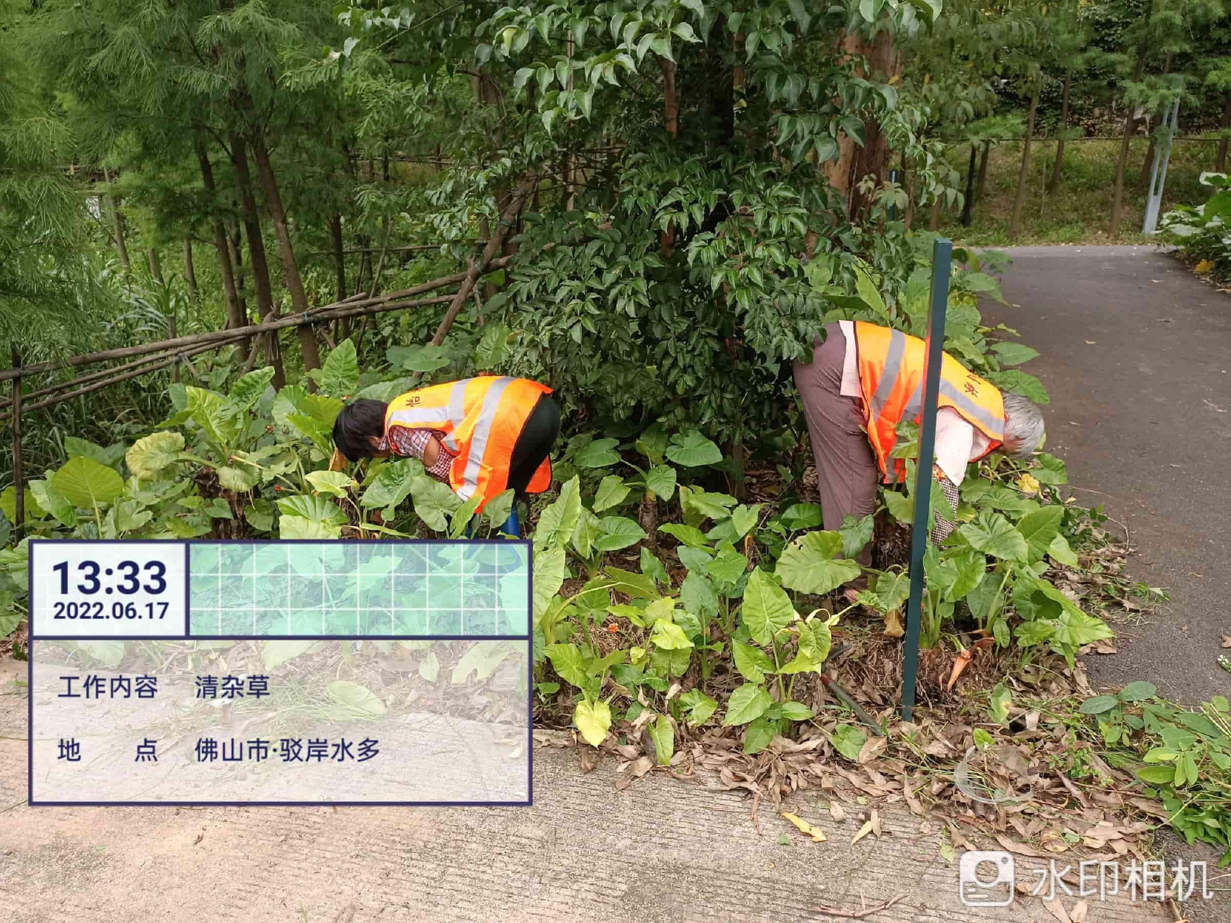 園林綠化養(yǎng)護(hù)公司