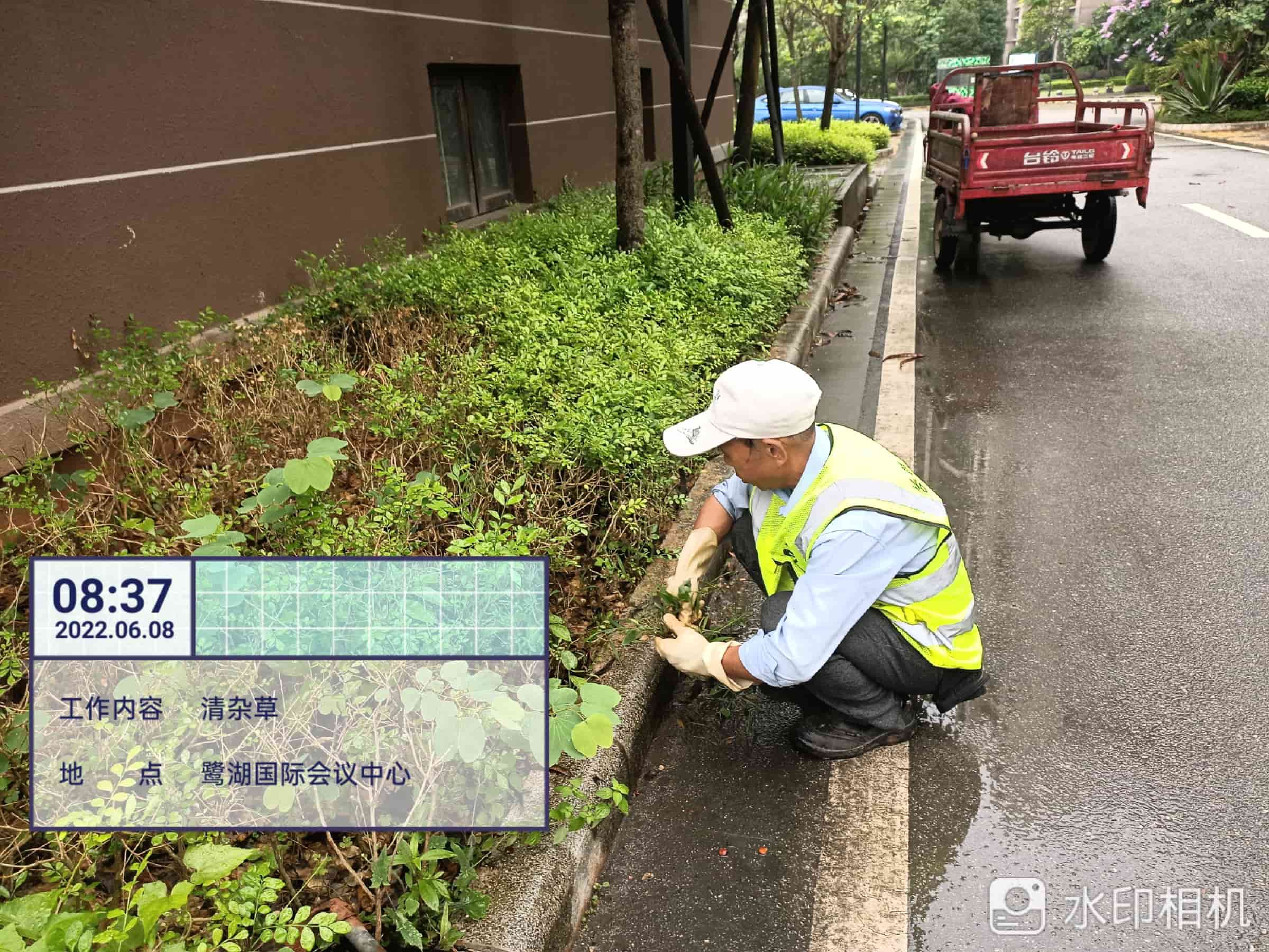 綠化養(yǎng)護