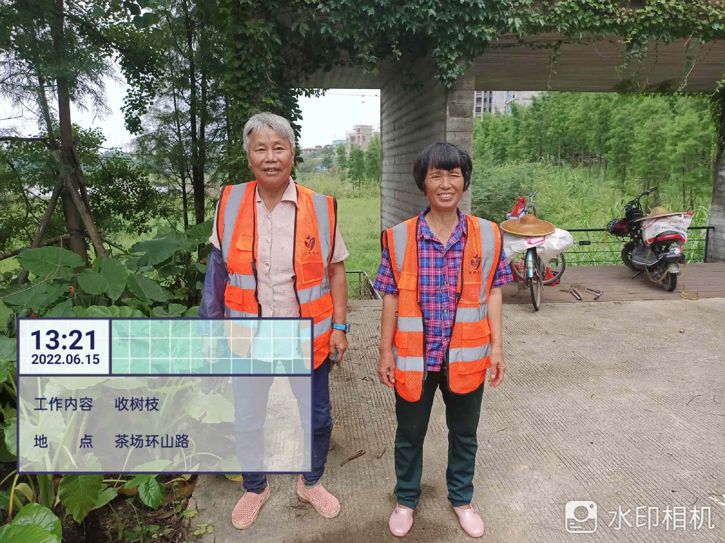 綠化養(yǎng)護