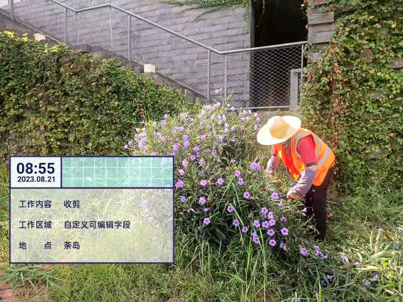 綠化養(yǎng)護(hù)