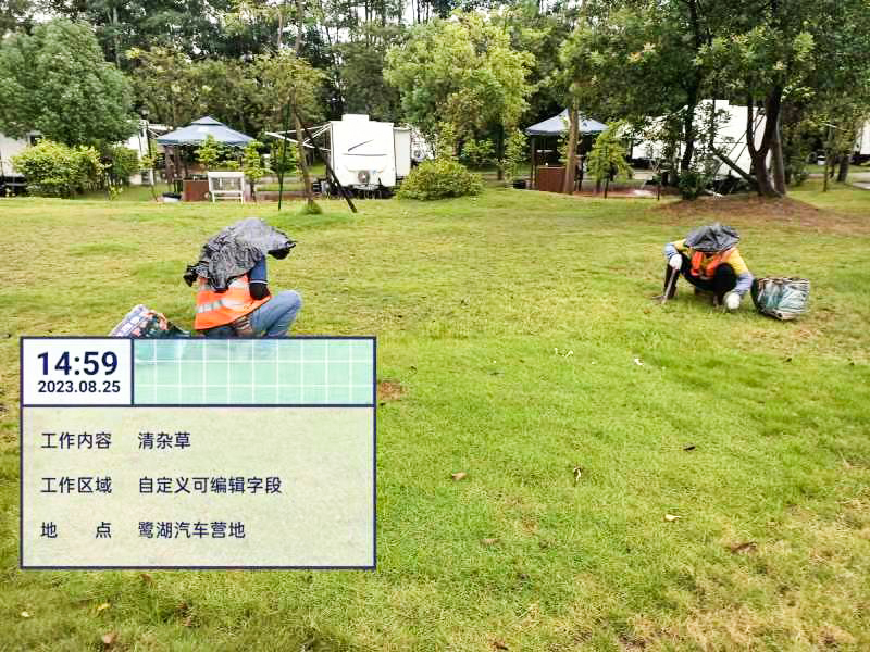 園林綠化養(yǎng)護